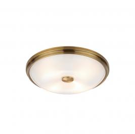 Настенно-потолочный светильник Odeon Light Pelow 4956/4