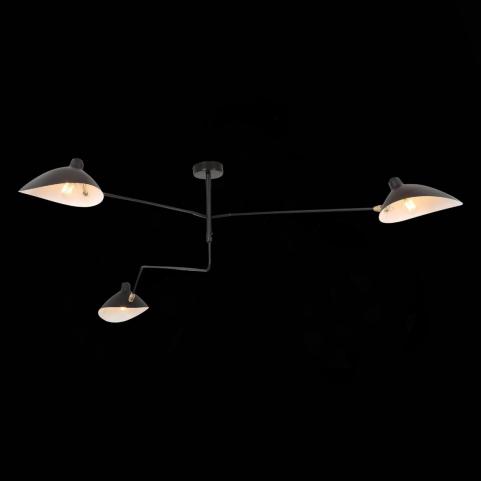 ST Luce Потолочный светильник ST-Luce Spruzzo SL305.402.03