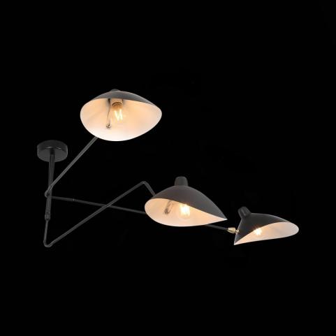 ST Luce Потолочный светильник ST-Luce Spruzzo SL305.402.03