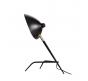 ST Luce Настольный светильник ST-Luce Spruzzo SL305.404.01
